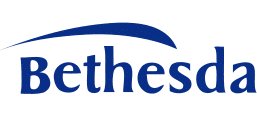 Bethesda Willmar