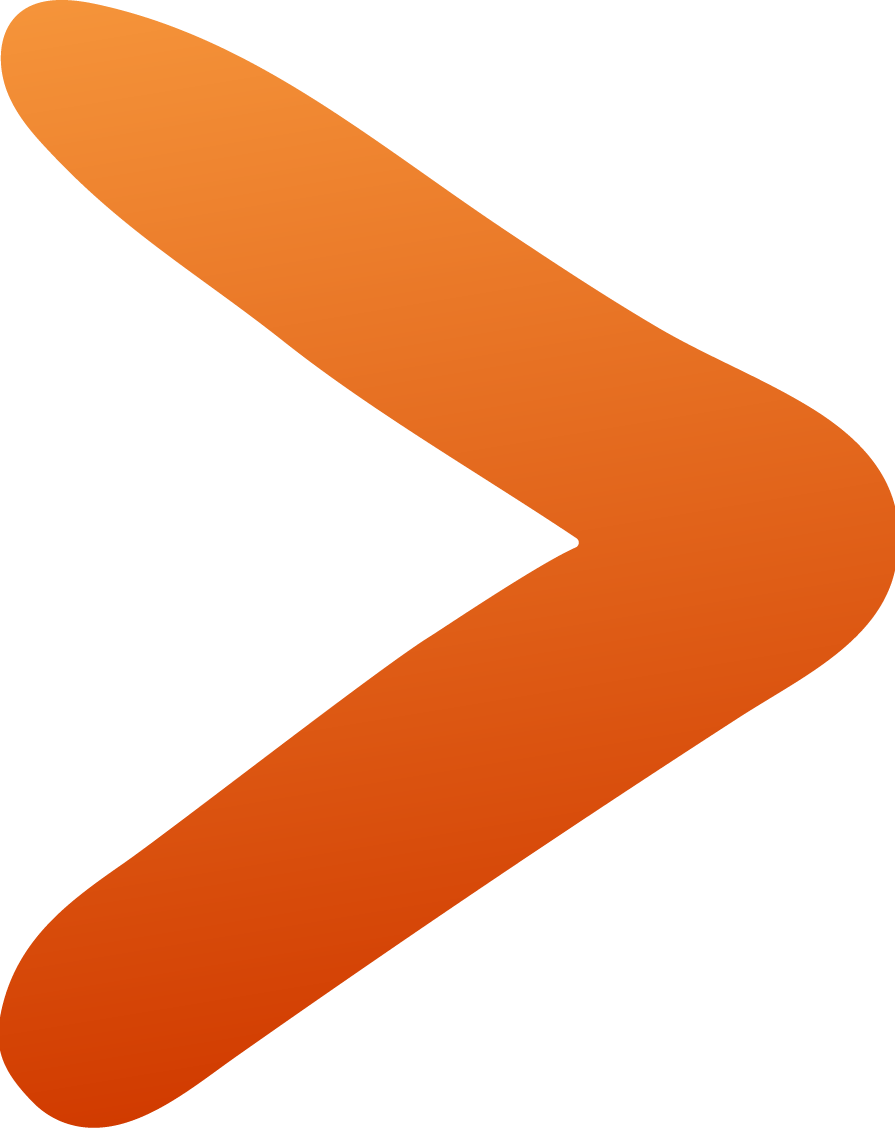 ann vote arrowhead red